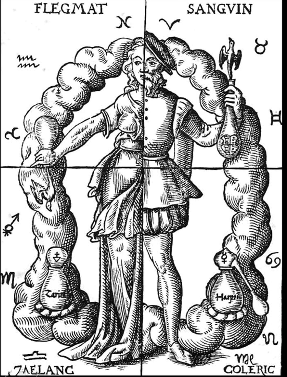 Illustration associated with the four humors
